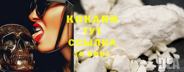 сатива Арсеньев