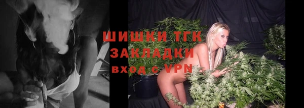 сатива Арсеньев